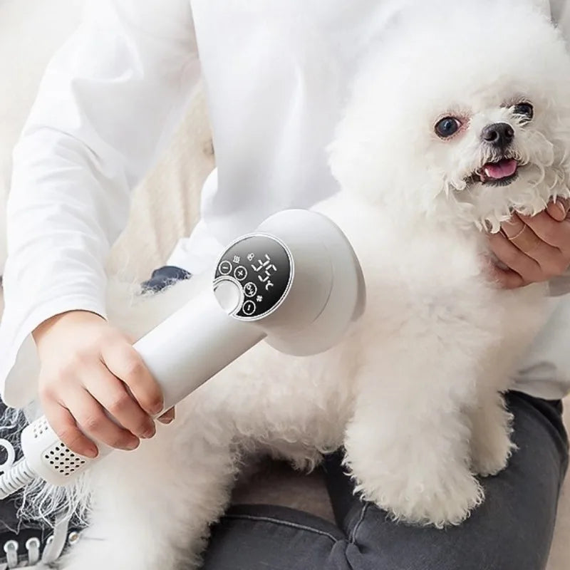 Professional Pet Hair Dryer Dog Cat Puppy Hot Cold Wind Air Brush Strong Power Special Drying Machine Dog Supplies Pet Products
